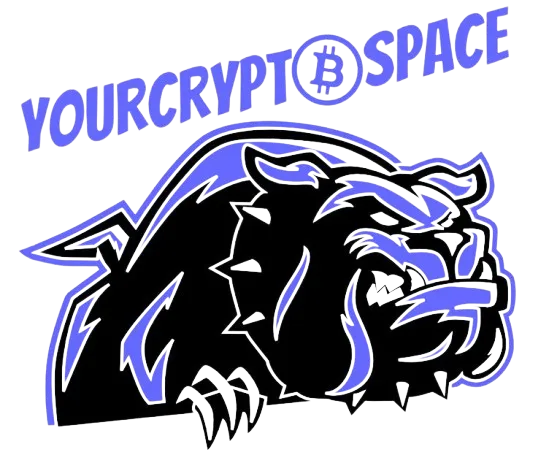 YourCryptoSpace logo